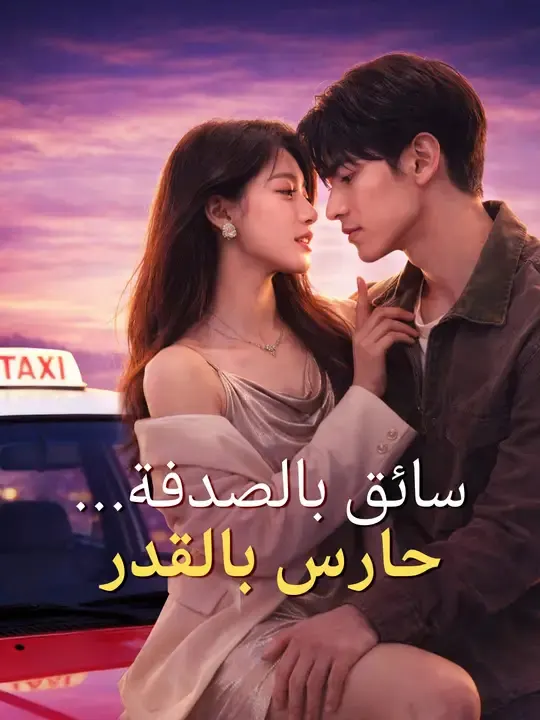 ملصق مسلسل سائق بالصدفة... حارس بالقدر من الصين