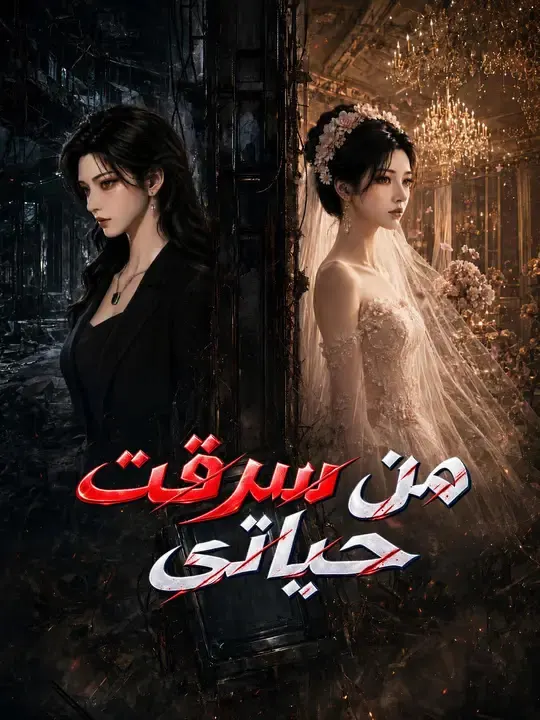 ملصق مسلسل من سرقت حياتي من الصين