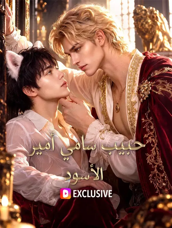 ملصق مسلسل حبيب سامي أمير الأسود من الصين
