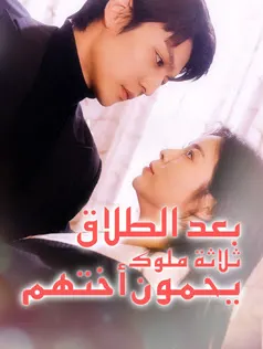 ملصق مسلسل بعد الطلاق ثلاثة ملوك يحمون أختهم من الصين