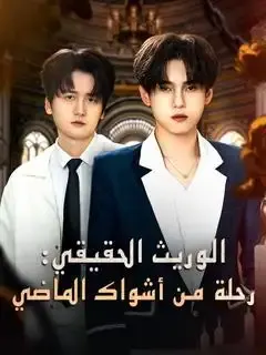 ملصق مسلسل (مدبلج) الوريث الحقيقي من الصين