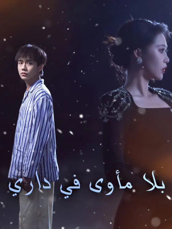 ملصق مسلسل بلا مأوى في داري من الصين