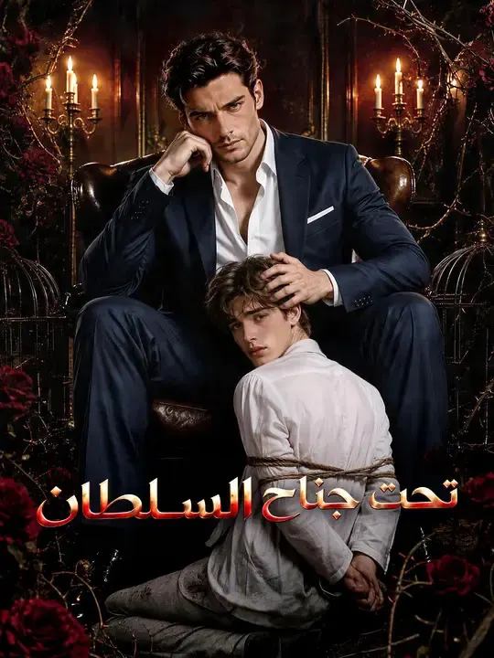 ملصق مسلسل تحت جناح السلطان من الصين