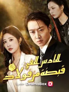 ملصق مسلسل الحارس الخفي: قبضة من فولاذ من الصين