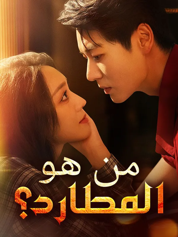 ملصق مسلسل من هو المطارد؟ من الصين