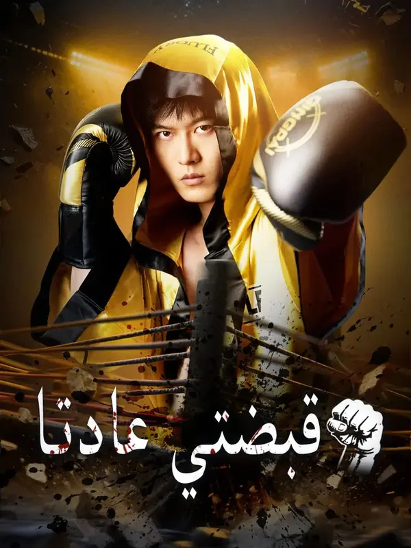 ملصق مسلسل قبضتي عادتا من الصين