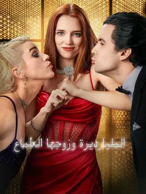 ملصق مسلسل المليارديرة وزوجها الطماع 88 حلقة من الصين
