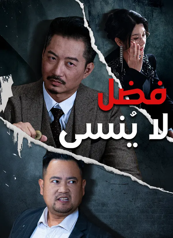 ملصق مسلسل فضل لا يُنسى من الصين