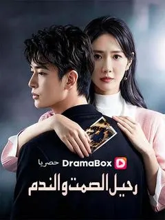 ملصق مسلسل رحيل الصمت والندم من الصين