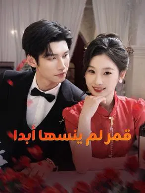 ملصق مسلسل قمر لم ينسها أبدا من الصين